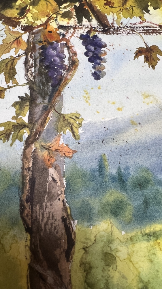 Where Wine Begins