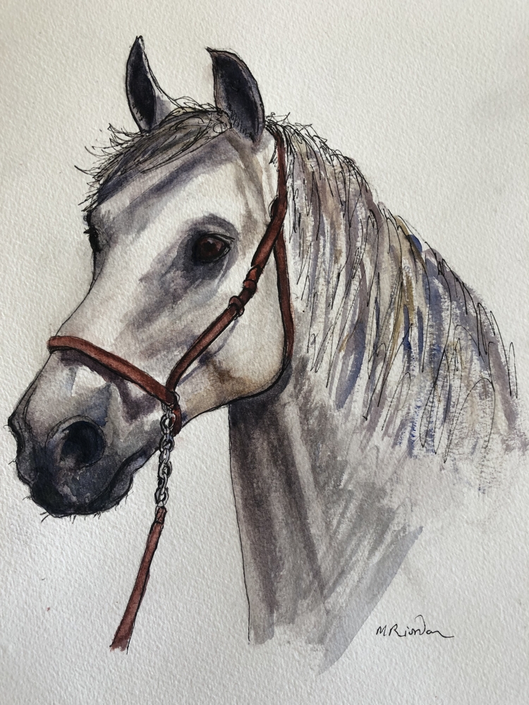 HORSE HEAD
