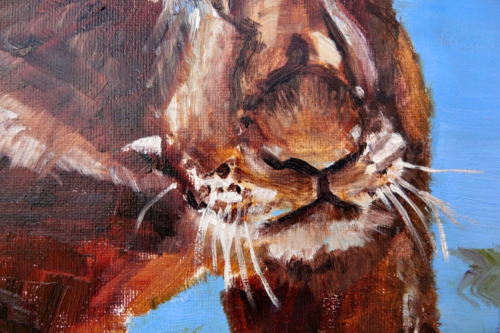 Lion Cub