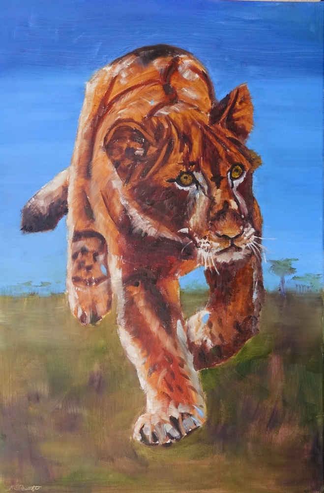 Lion Cub