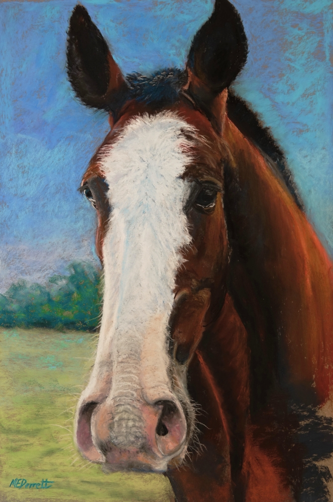 Long Face