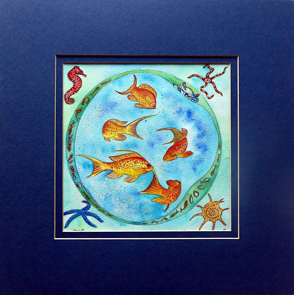 Lyretail Anthias Fish