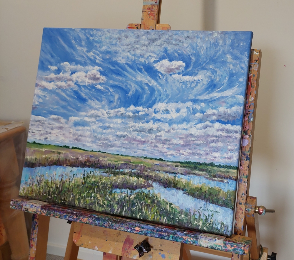Ouse Fen - Summer Sky