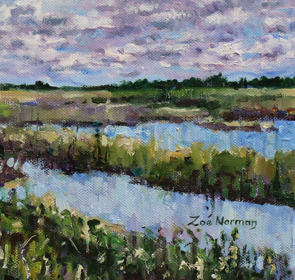 Ouse Fen - Summer Sky