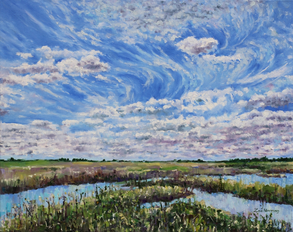 Ouse Fen - Summer Sky