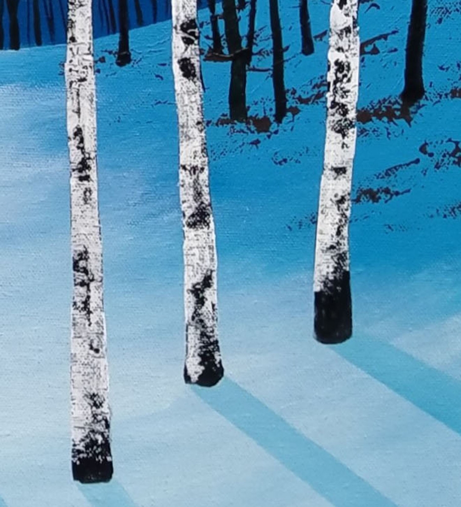 Shadows of the Moon