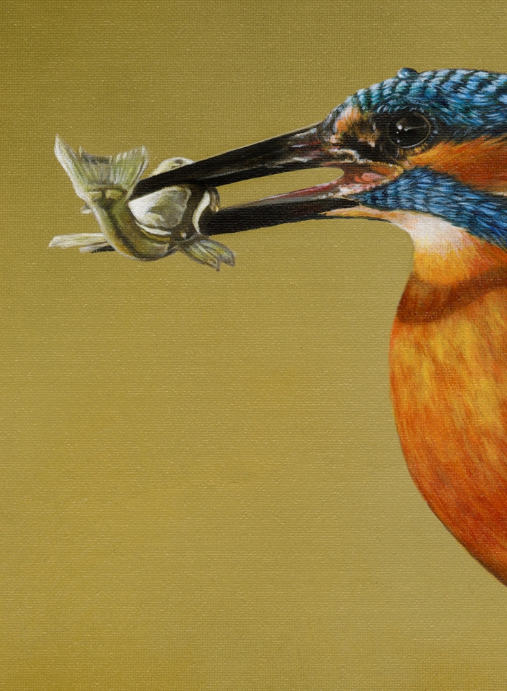 The Catch