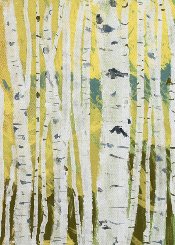 Birches VI