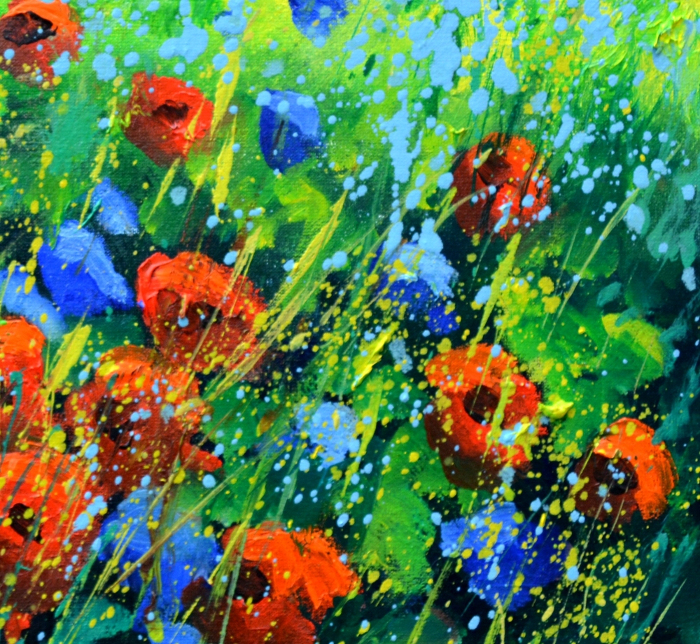 Red poppies 44