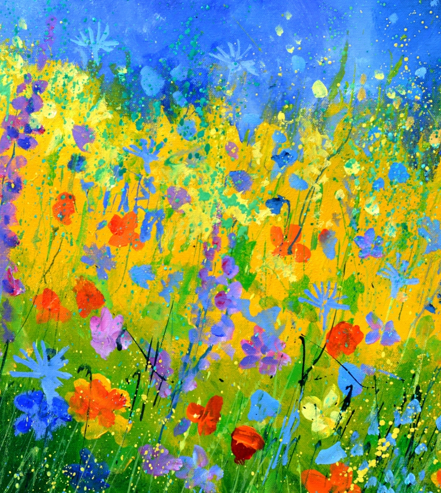 summer meadow 