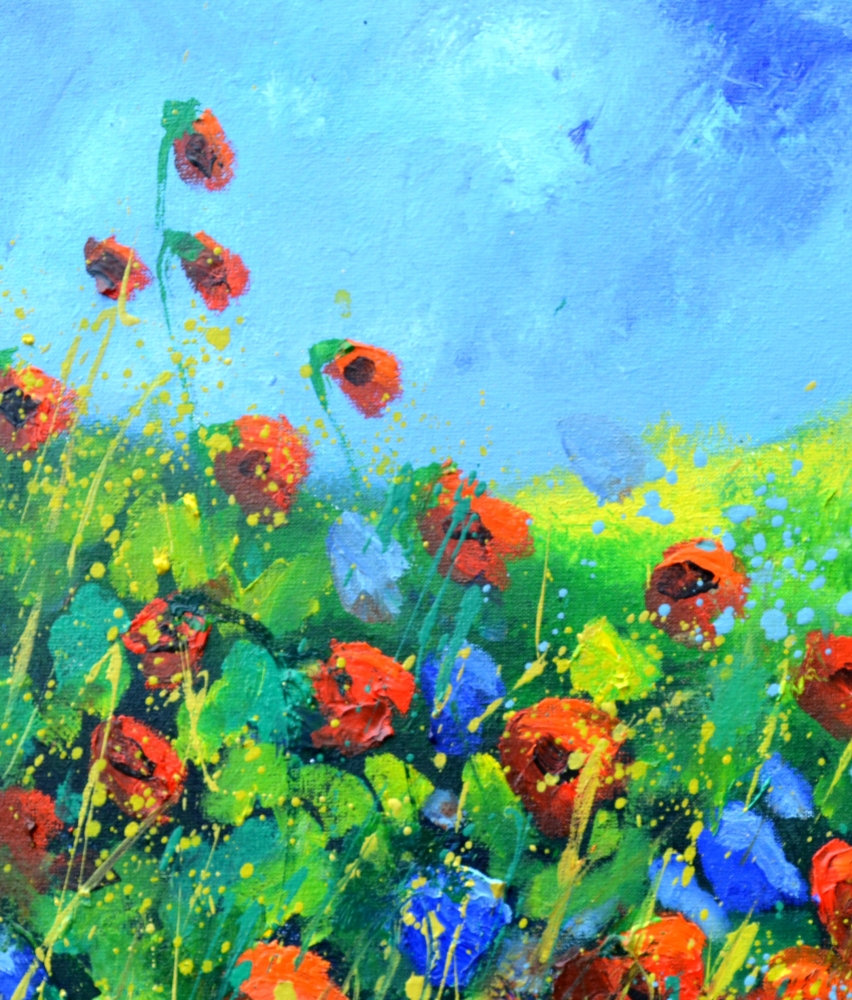 Red poppies 44