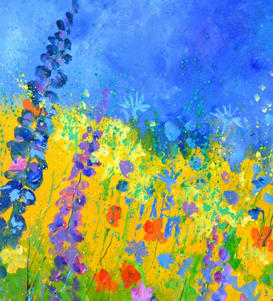 summer meadow 