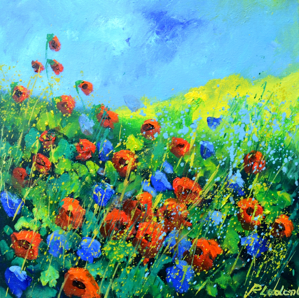 Red poppies 44