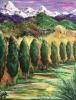 Conspiratorial Cypresses
