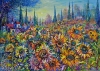 Sunflower Field and Cypresses
