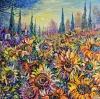 Sunflower Field and Cypresses