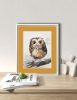 Amber-Eyed Owlet
