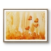 Poppies in the Mist - Amber