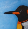 Emperor penguin
