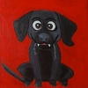 Comical Dog