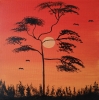 Sunset safari