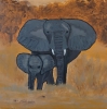 Mother and Baby Elephant