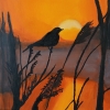 Sunset Bird