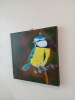 Bluetit