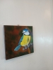 Bluetit