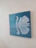 Reflective Swan
