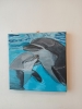 Dolphins Having Fun