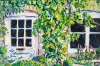 Courtyard Colour