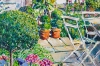 Courtyard Colour