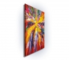 Red Energy S 5