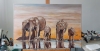 Elephants in the Desert