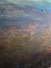 Mist (2025)