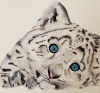 Snow Leopard Cub - Ice and Innocence