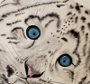 Snow Leopard Cub - Ice and Innocence