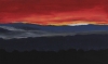 Alberta Sunset