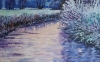 Apricot Dawn