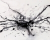  Large Black and white Nebula Abstract 1