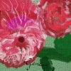 Roses III