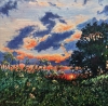 Evening Light