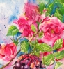 Grapes, Roses and Honeysuckle