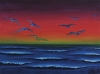 Gulls 
