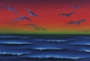 Gulls 