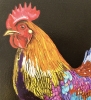 Cockerel