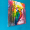 Parrot