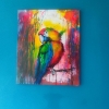 Parrot