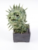 Cactus Man (After Odilon Redon)